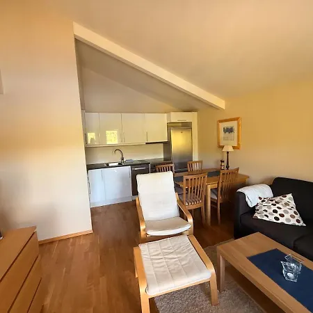 Apartman Bortelidseter Aseral